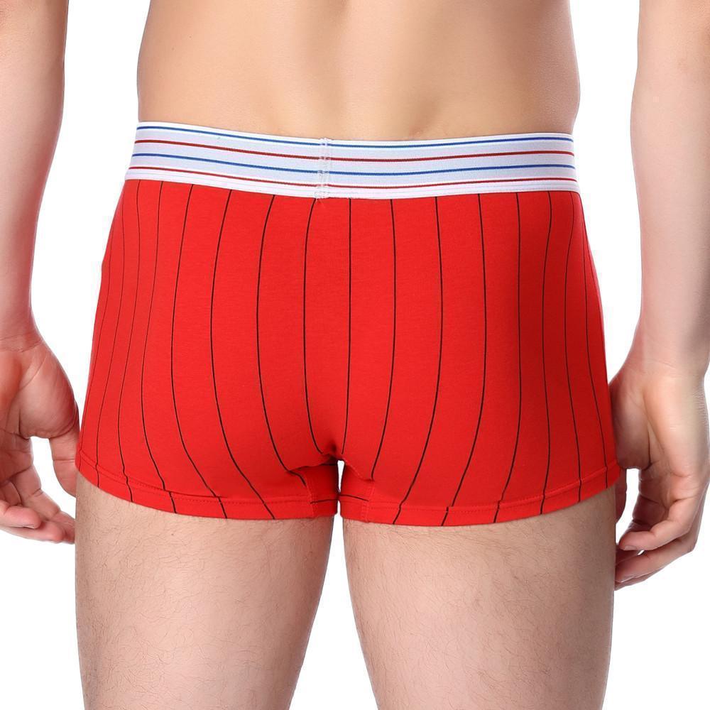 Men's Boxers Cotton Brief Striped Underwear - Underwear - LeStyleParfait Kenya